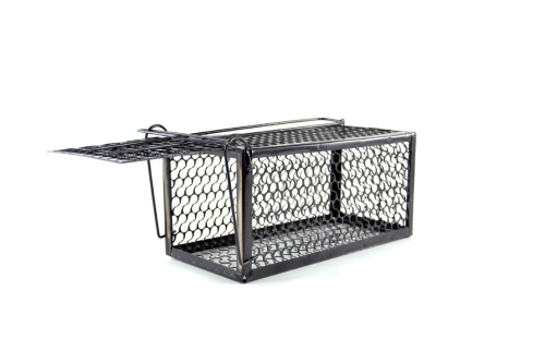 Small Black Rat Cage