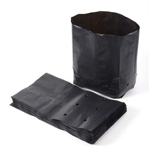 Plant Bag 8"x10"