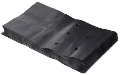 Plant Bag 9"x12"