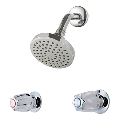 Shower Valve 2 Handle