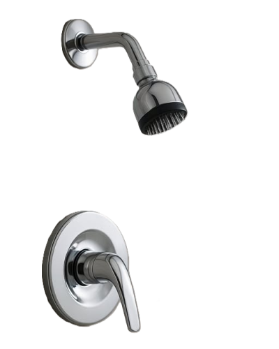 Shower Head Control Chrome 1H