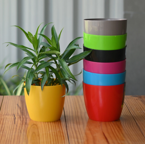 Flower Pot 10" Color