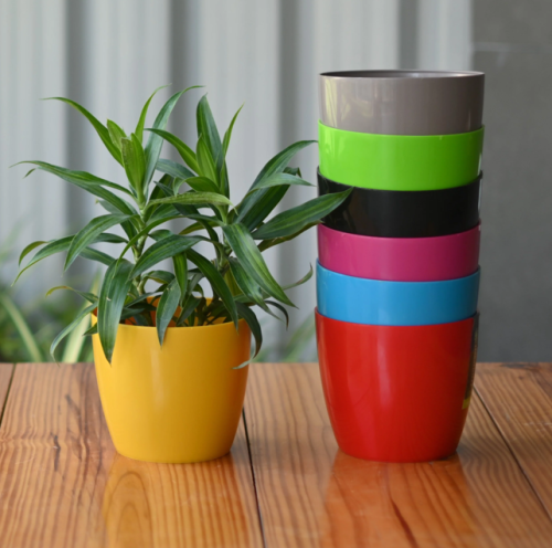 Flower Pot 8" Color