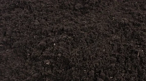 Sand BLACK SOIL (for plants)
