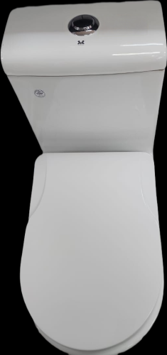 Toilet S-Trap white