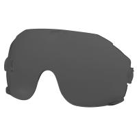 TINTED VISOR REPLACEMENT LENSES