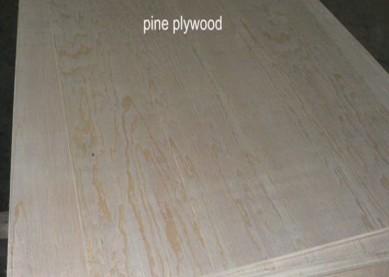 5/8" CDX PLYWOOD