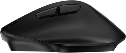 MS2020;CAP