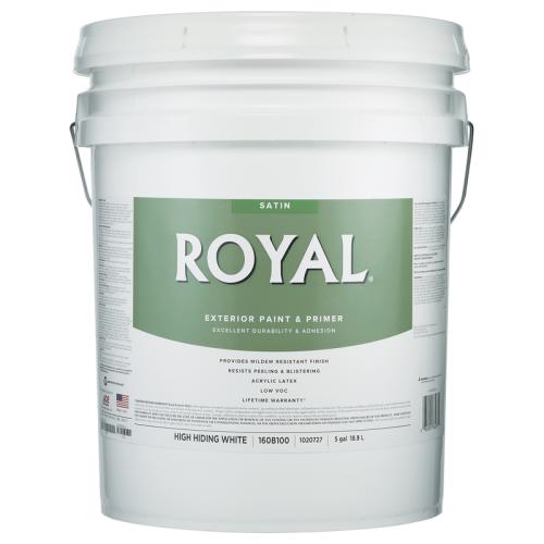 RYL EXT SAT LTX WHT 5G