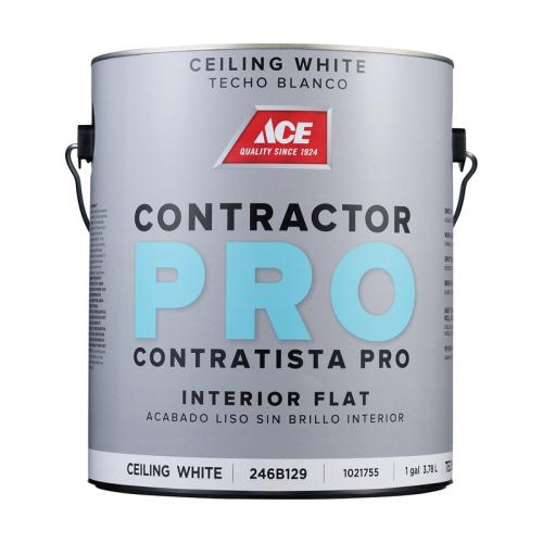 CEILING PAINT ESS INT FLT LTX GL