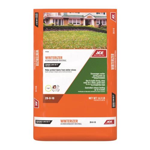 ACE WINTERIZER FERTILZR