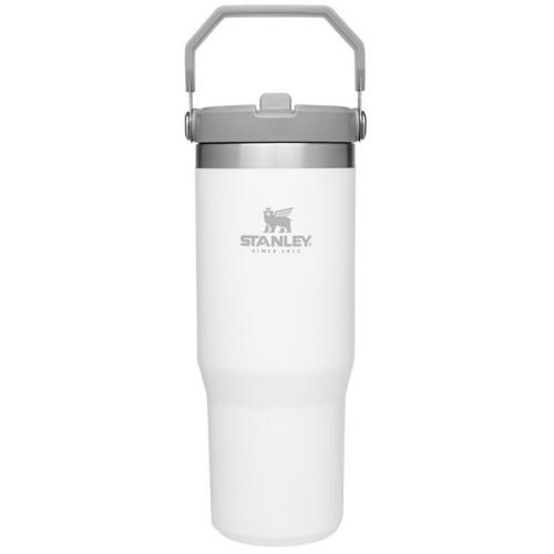 INSL STRW TMBL POLR 30OZ