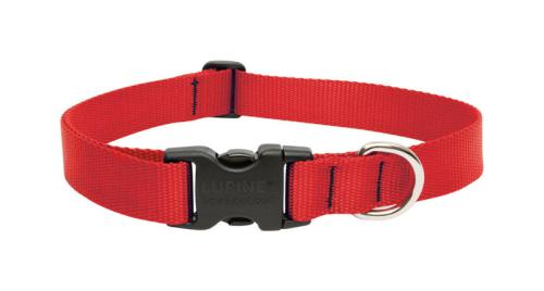 red nylon dog adjustable collar