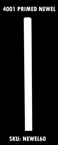 NEWEL60