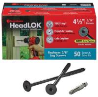 FastenMaster FMHLGMTT412-50 Headlok 4.5 in. L Torx Ttap T30 Coarse Structural Wood Screws 50 pk