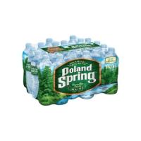 Poland Spring Bottled Spring Water - Ready-to-Drink - 16.91 fl oz (500 mL) - 24 / Carton