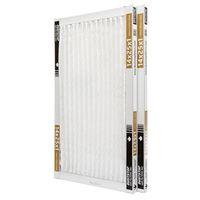 DP-1425PR2 14X25X1 FILTER AIR