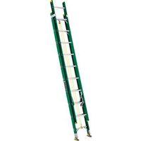LADDER EXT FBRGLS TYPE 2 16FT