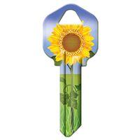 KW1-17 KEYBLANK SUNFLOWER