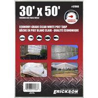 TARP UTIL 30X50FT WHT