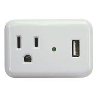 PowerZone ORUSB241S Surge Protector Tap, 2-Pole, 125 V, 15 A, 1-Outlet, 150 Joules Energy