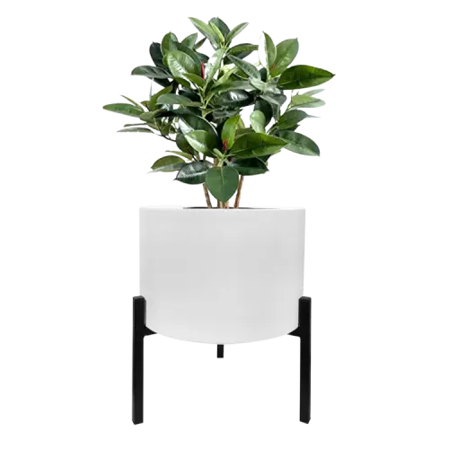 Blooms 18L Flower Pot With Metal Stand Matte White