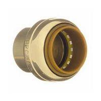 CAP BRASS 9492-303 1/2IN TECTI