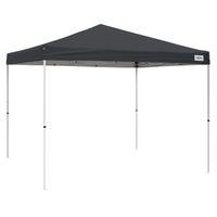 Seasonal Trends VPR10021-0 Canopy, 10 ft L, 10 ft W, 9 ft 1 in H, Steel Frame, Polyester Canopy