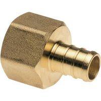 Apollo CPXFA1212 Pipe Adapter, 1/2 in, PEX x FPT, Brass