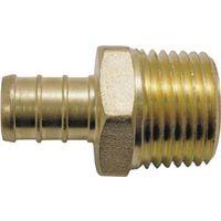 Apollo CPXMA1212 Pipe Adapter, 1/2 in, PEX x MPT, Brass