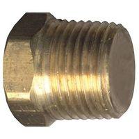 PLG HEX HD 1/4IN MPT BRS