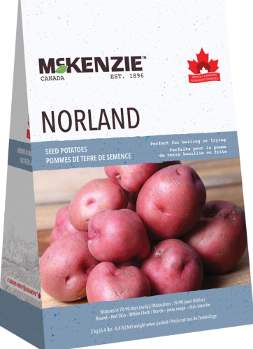 McKenzie Norland Seed Potato