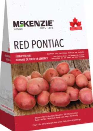 McKenzie Red Pontiac Seed Potato