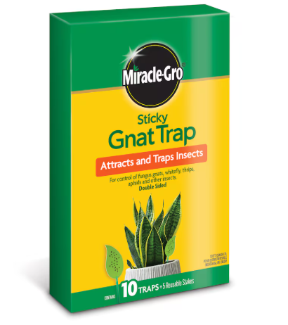 Miracle Gro Sticky Gnat Traps