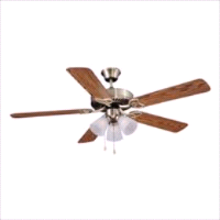 FAN CEIL 52IN 5BLD/3LT DUAL AB 