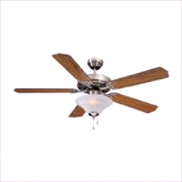 FAN CEIL 52IN 5BLD/2LT DOME BN 