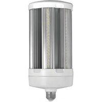 YARD LT 100W/500W MED LED5000K 