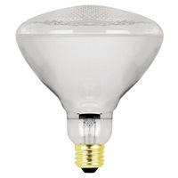 BULB REFLEC FLD MED PAR38 65W 