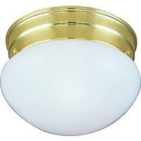 FIXTURE CEIL 1LT MED OPAL PB 