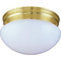 FIXTURE CEIL 2LT MED OPAL PB 