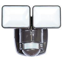 MOTION LGHT 2LED 180DG 1250BRZ 
