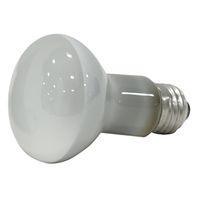 BULB REFLEC FLOOD 45W 2-PK 