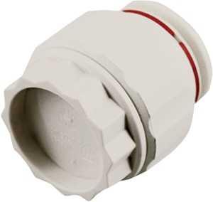 1/2" Pex Cap