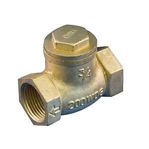 Swing Check Valve 1"