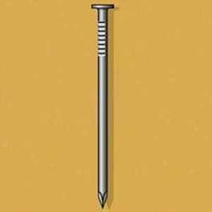 Common Nails 3-1/2" (300Pk)