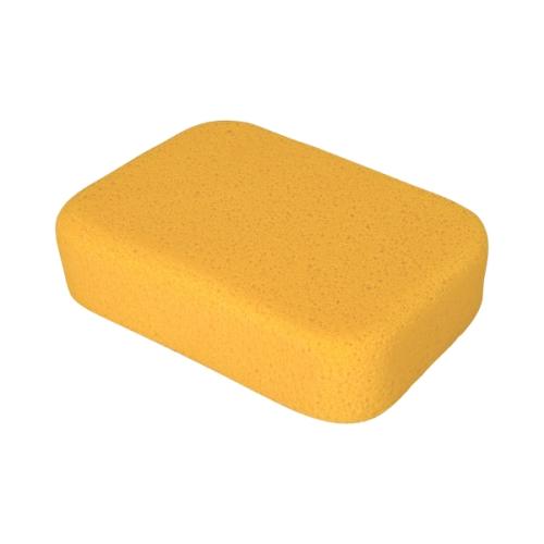 Sponges