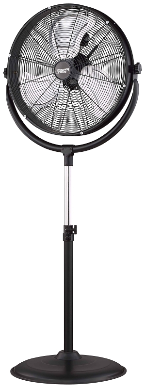 Fans