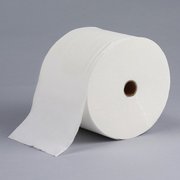 Bath Tissue (Toilet Paper)