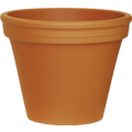 10" TERRA COTTA CLAY POT