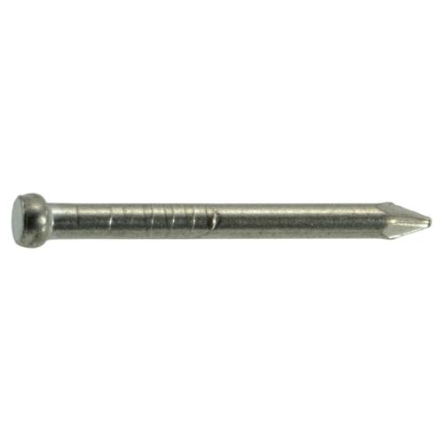 Wire Brads  16x 3/4